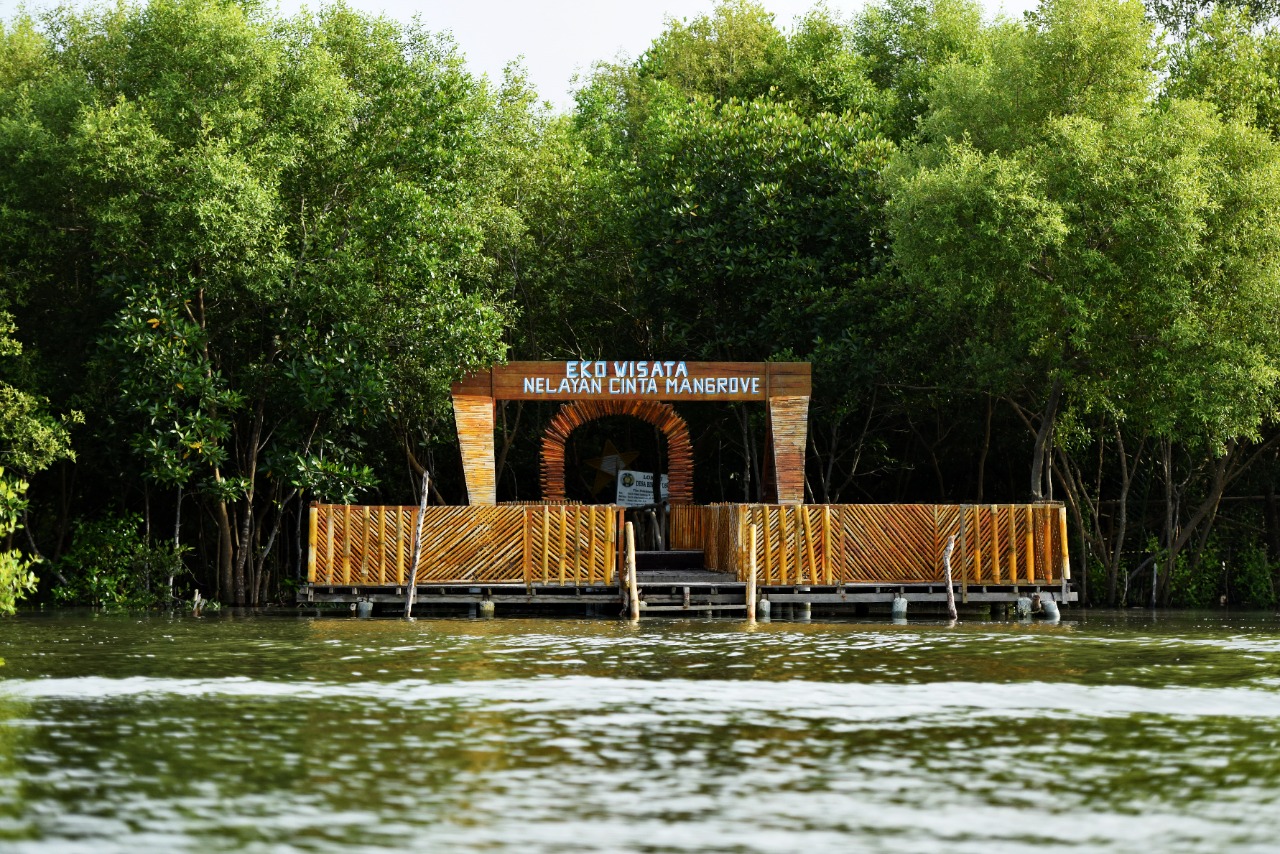 Mengabdi di Kampung Nelayan Seberang dan Kawasan Mangrove 