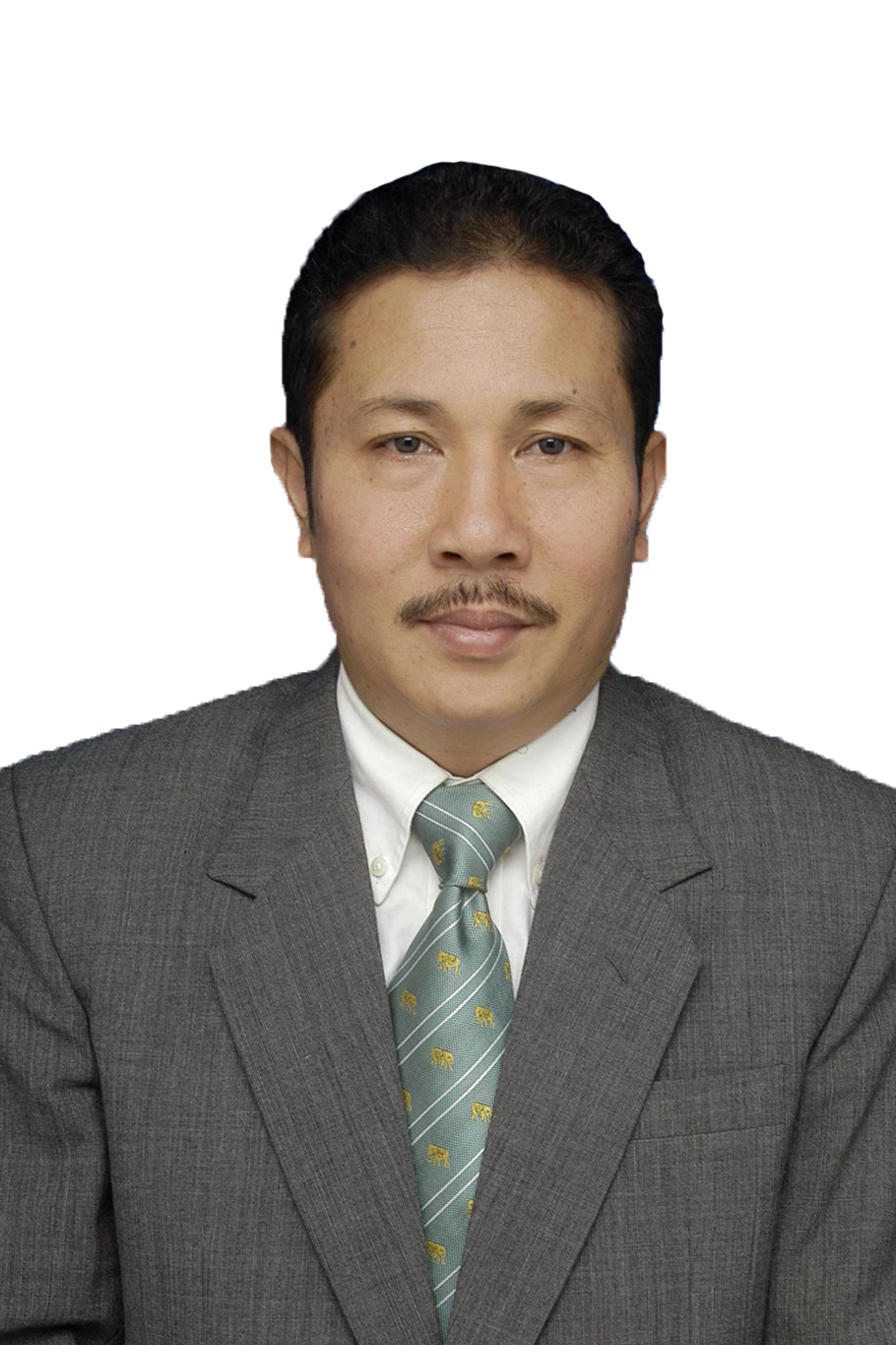 foto profile Prof. Dr. Drs. Opim Salim Sitompul, M.Sc